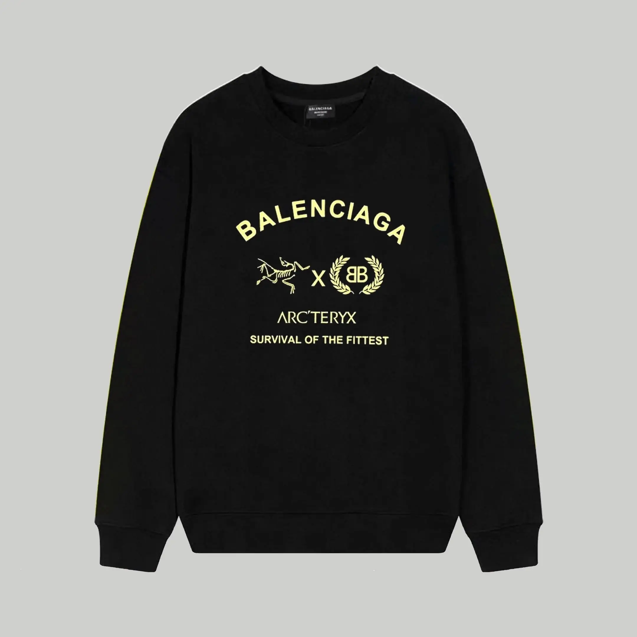 Balenciaga Hoodie — photo 7 of 14