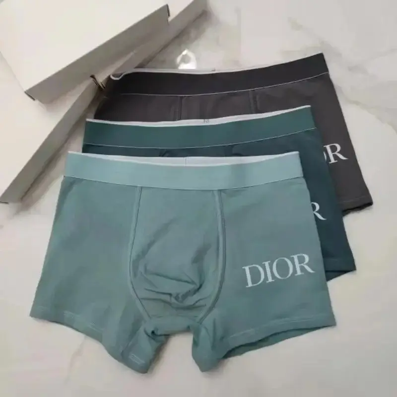 Dior Underwear — photo 14 of 14