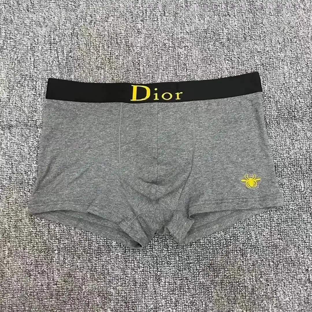 Dior Underwear — photo 5 of 14
