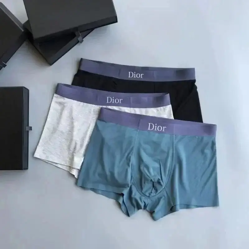 Dior Underwear — photo 6 of 14